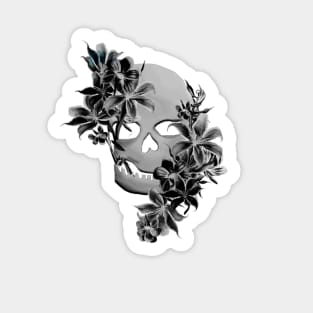 Black & White Skull Sticker